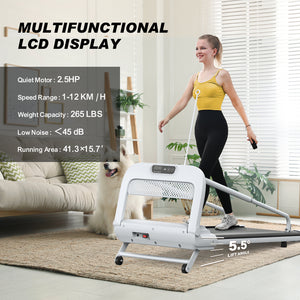 2025 New Quiet Smart Pet Treadmill