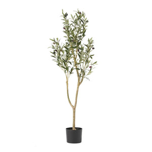 Artificial Olive Tree - Best Buy Furniture
