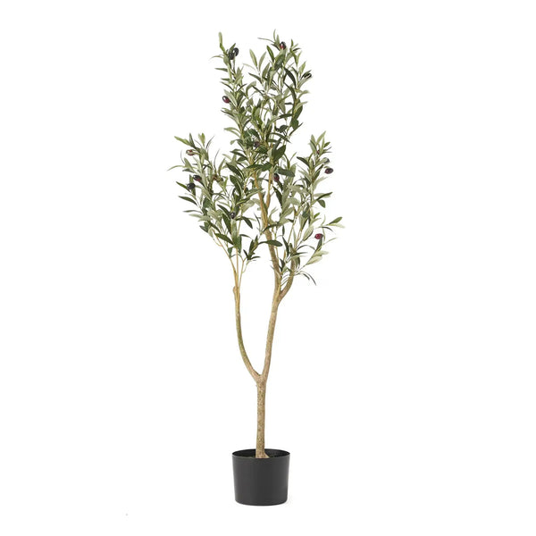 Artificial Olive Tree - Best Buy Furniture