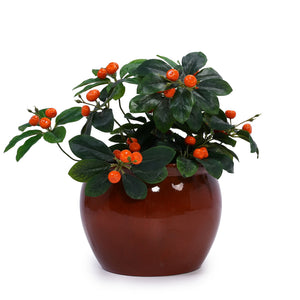 3 Pieces Ceramic Flowerpot, Planter For Patio, Garden Or Windowsills