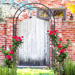 Metal Garden Arch for Climbing Plants