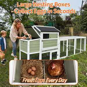 Wooden Chicken Coop, Large Outdoor Hen House with Run and Nesting Box