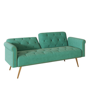Luxurious Sofa Bed With Nail Head Trim And Matching Pillow