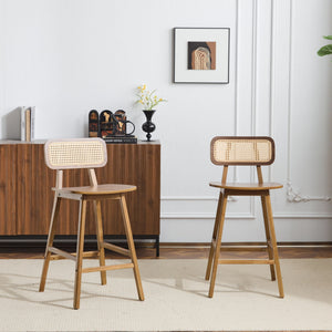 Bari - Indoor Wood Barstool (Set of 2) - Best Buy Furniture