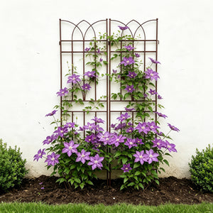 2 Pack Metal Garden Trellis