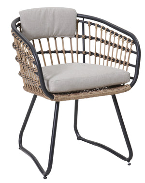 Outdoor Wicker Dining Chairs Set of 2 with Cushions