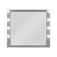 Sliverfluff - Mirror With Light - Mirrored / Champagne - Best Buy Furniture