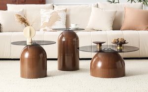 Nesting Coffee Table Set of 3 with Glass Desktop