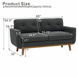 65-Inch Modern Minimalist Two-Seater Sofa