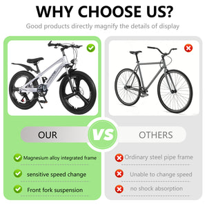 20 Inch Kids Mountain Bike