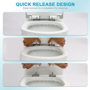 Ceramic One Piece Toilet for Bathroom, 12-inch Rough-In, Dual Flush