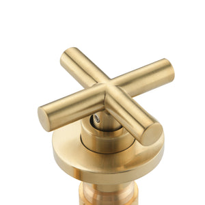 Wall Mounted Dual Handle Bathroom Sink Faucet with Pop-Up Drain (No Overflow)