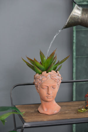 Visage Head Bust Planter with Classical Design - Cement