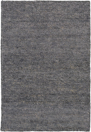 Lecompton Solid Charcoal Viscose Rug - Clearance