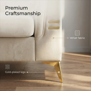Contemporary Velvet Sofa With 2 Pillows