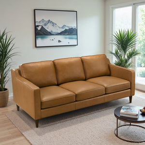 Cooper Mid Century Modern Sofa