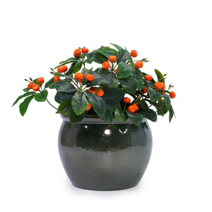 3 Pieces Ceramic Flowerpot, Planter For Patio, Garden Or Windowsills