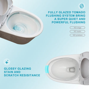 1 Piece Toilet For Bathroom, Dual Flush 1.24 / 1.43 Gpf, Soft Closing Seat - White