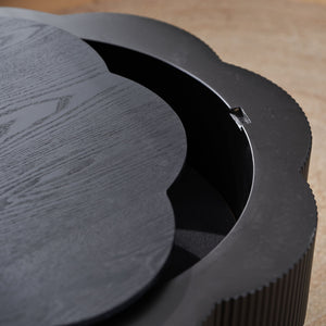 Modern Plum Blossom Shaped Coffee Table With Storage