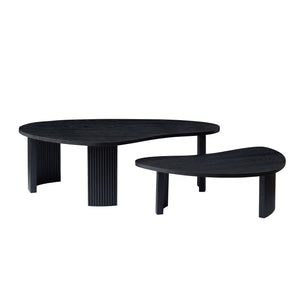 2-Piece Modern Irregular Shape Coffee Table Set