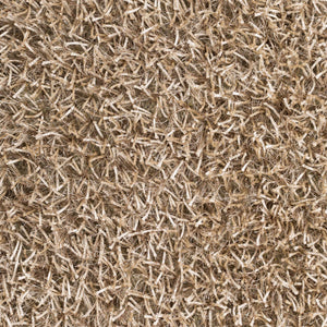 Egan Area Carpet - Clearance