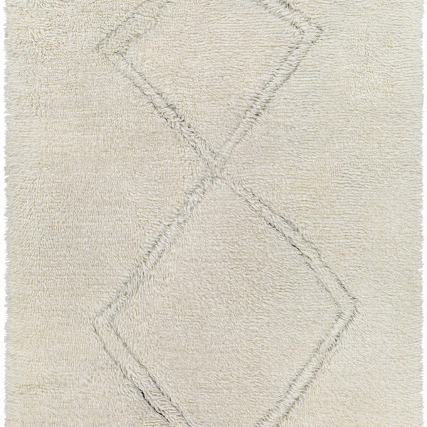 Eguia Area Rug - Clearance