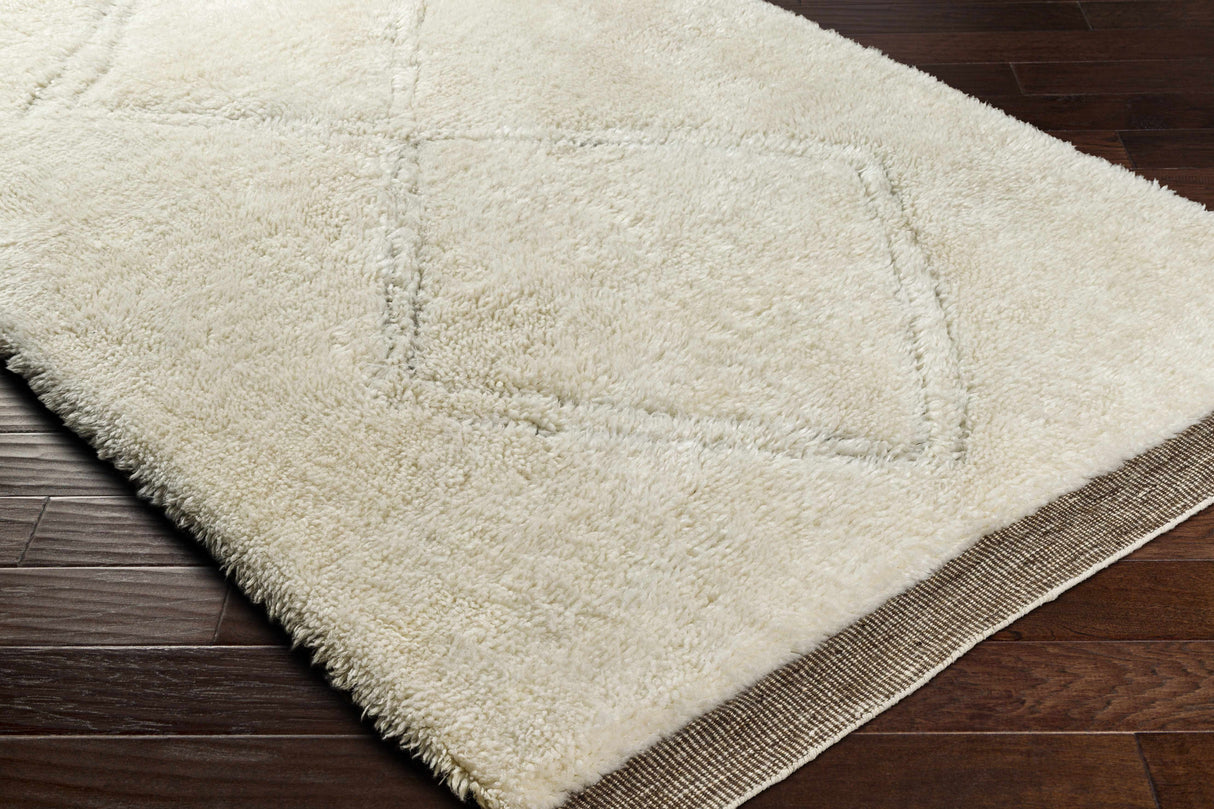 Eguia Area Rug - Clearance