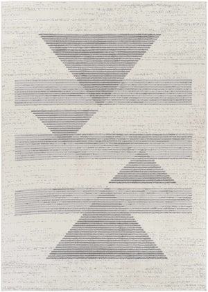 Emberton Area Rug - Clearance