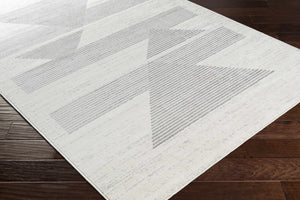Emberton Area Rug - Clearance