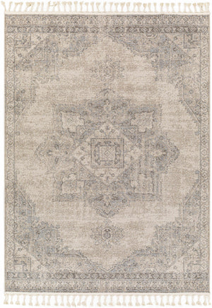 Erdemli Area Rug - Clearance