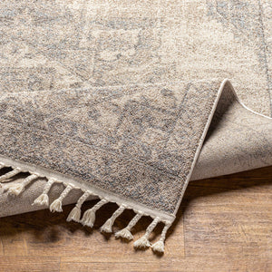 Erdemli Area Rug - Clearance