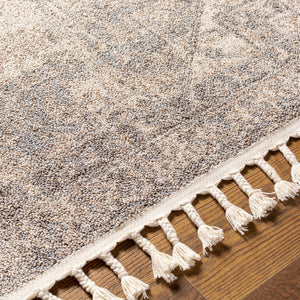 Erdemli Area Rug - Clearance