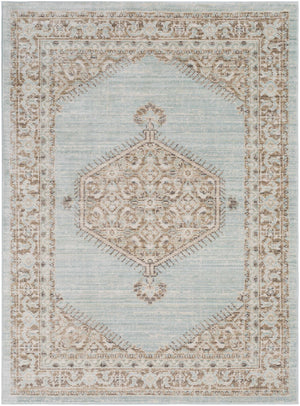Escoheag Area Rug - Clearance