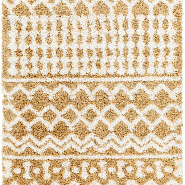 Evely Shag Area Rug