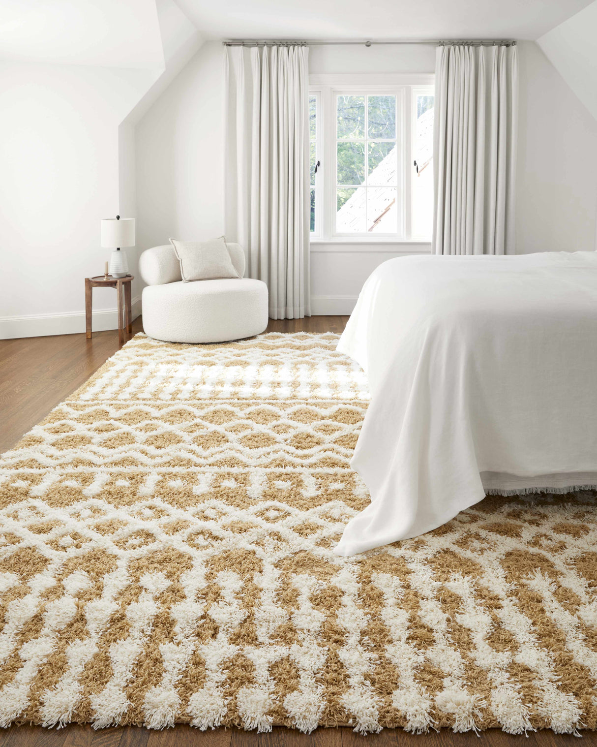 Evely Shag Area Rug