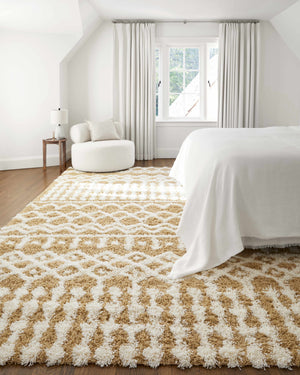 Evely Shag Area Rug