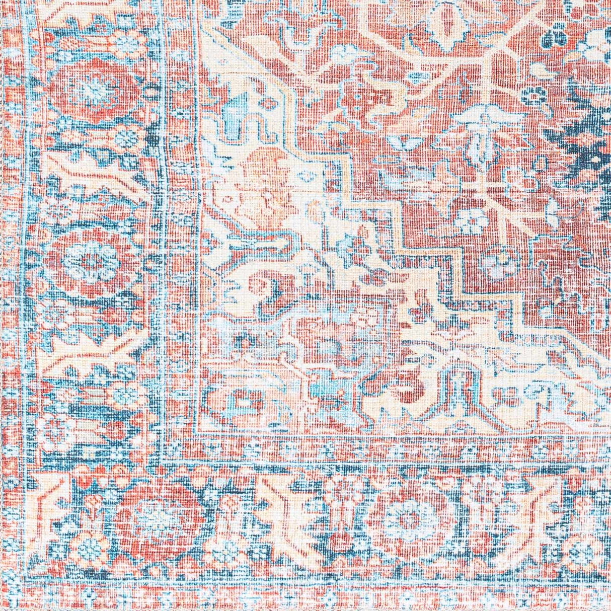 Evony Washable Area Rug - Clearance