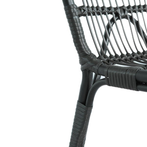 Outdoor Wicker Dining Chairs With Washable Cushion (Set of 2)
