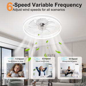 23.6 Inch Ceiling Fan with Light, Quiet DC Motor, Dimmable 3-Color LED