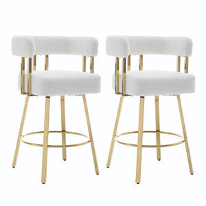 Decorative Upholstered Side Chair For Living Room (Set of 2)