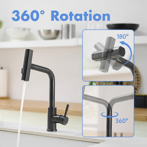 360° Rotation Pull-Down Kitchen Faucet - Oil Rubbed Bronze