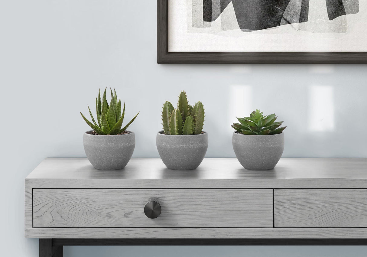 6" Tall, Artificial Plant, Succulent, Indoor, Faux, Fake, Table, Greenery, Potted, Decorative (Set of 3) - Green / Gray - Best Buy Furniture