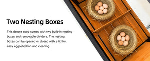 Outdoor Wooden Chicken Coop with Run