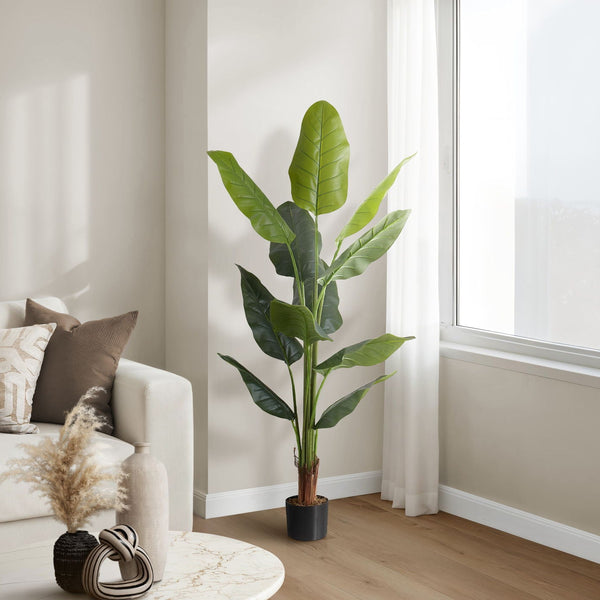 59" Tall, Artificial Plant, Strelitzia Tree, Indoor, Faux, Fake, Floor, Greenery, Potted, Real Touch, Decorative - Green / Black - Best Buy Furniture