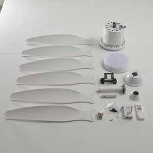 6 PCS ABS Blades 56" Ceiling Fan With Light Kit
