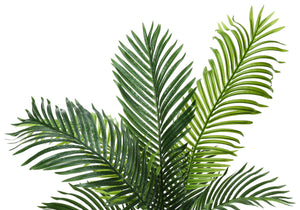 47" Tall, Artificial Plant, Palm Tree, Indoor, Faux, Fake, Floor, Greenery, Potted, Real Touch, Decorative - Green / Black - Best Buy Furniture