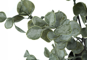 35" Tall, Artificial Plant, Eucalyptus Tree, Indoor, Faux, Fake, Floor, Greenery, Potted, Decorative - Green / Black - Best Buy Furniture