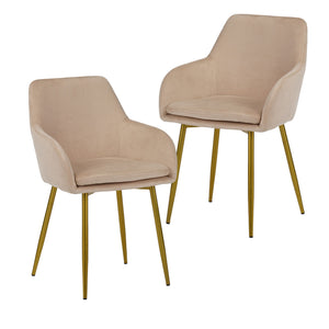 Dining Chair Set For Dining Rooms (Set of 2) - Beige