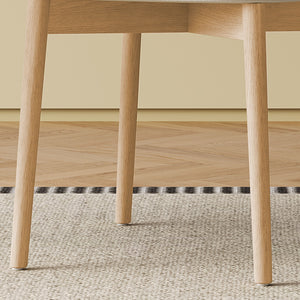 Mid-Century Modern Dining Chair (Set of 2)