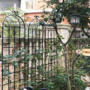 Metal Garden Rustproof Trellis For Climbing Plants Outdoor Flower Support